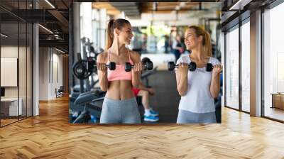 Beautiful women working out in gym together Wall mural