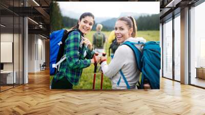 Four happy friends are looking on mountains and having fun together Wall mural