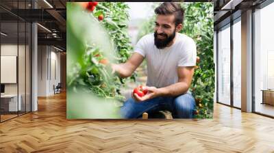 Friendly farmer at work in greenhouse Wall mural