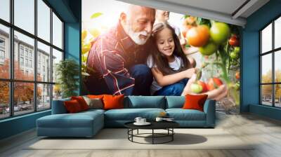 Grandfather growing organic vegetables with grandchildren and family at farm Wall mural