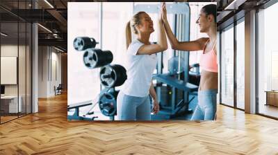 Picture of two fitness women in gym Wall mural