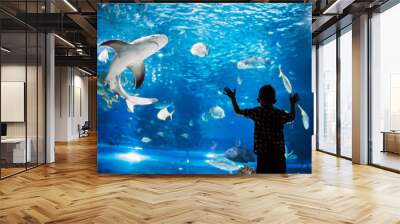 Serious boy looking in aquarium with tropical fish Wall mural