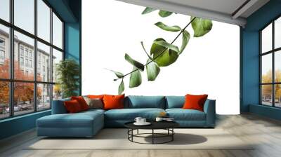 green leaves, plant, leaf  transparent Wall mural