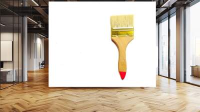 paint brush isolated on white Wall mural