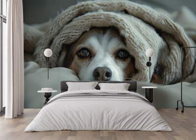 A scared dog hiding under a blanket for comfort and safety. Wall mural