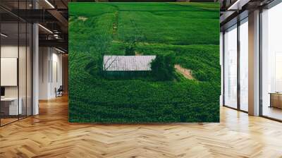 Abandoned Rural Summertime Farm in WI Wall mural