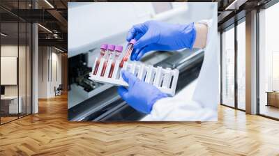 Scientist wear glove holding test tube in sample rack to check qulity of sample. Wall mural