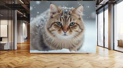 Majestic cat braves winter wonderland. A beautiful long haired cat sits regally in a snowy landscape, its fur contrasting with the falling snowflakes around it. Wall mural