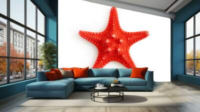 Dried red sea starfish isolated on white background. Top view  Wall mural