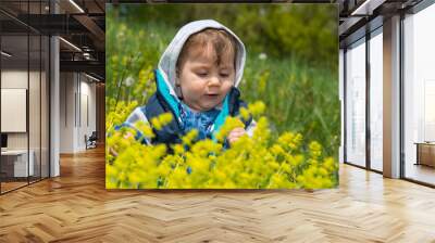 The baby boy with hood sits in the nature and plays with the grass Wall mural