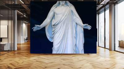 jesus statue Wall mural