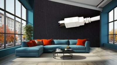 usb connector 2 Wall mural