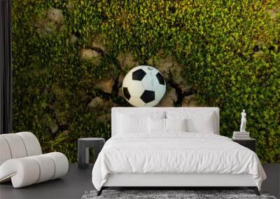 The football ball in a field that is dry and cracked in the evening sun Wall mural