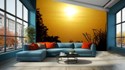 Grand sky sunset view with nature plant silhouette Nature love concept image Wall mural