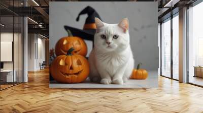 A white cat wearing a witch hat sits beside a carved Halloween pumpkin, embodying a festive autumn spirit. Wall mural