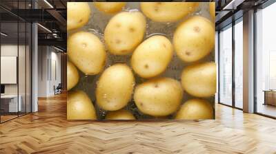 fresh potatoes in the water Wall mural