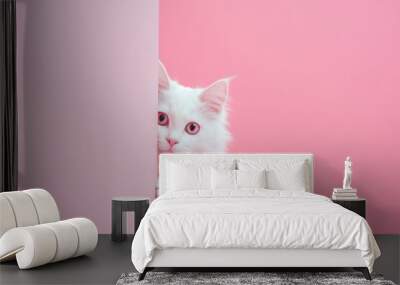 White cute adorable fluffy cat Wall mural