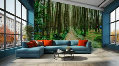 path in the forest Wall mural