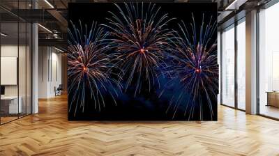 Fireworks Display: Colorful fireworks exploding in the night sky, creating beautiful patterns. Wall mural