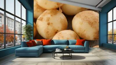 preparing fresh potatoes Wall mural