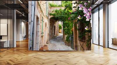 beautiful old town stone street of Provence at spring day, France Wall mural