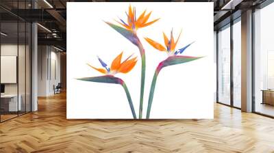 Bird of paradize flower Wall mural