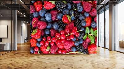 bluberry, raspberry, blackberry and red currrunt Wall mural