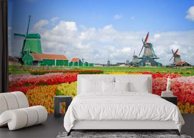 dutch windmills with fresh tulips rows at bright spring day, Holland Wall mural