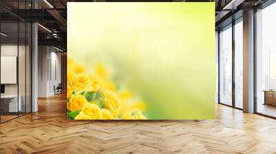 fresh yellow roses in green sunny garden banner Wall mural