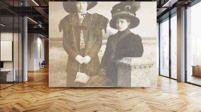 old photo  of  two women Wall mural