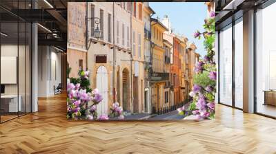 old town street of Aix en Provence at spring, France Wall mural