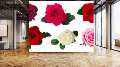 one dark  red rose Wall mural