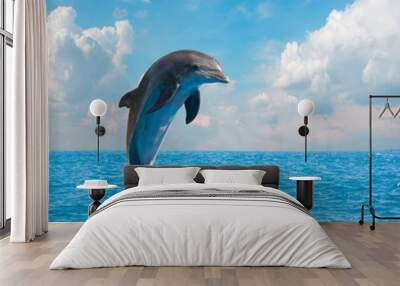 one jumping dolphins Wall mural