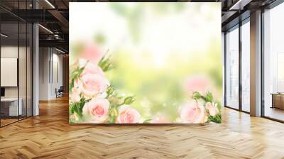 Pink blooming fresh roses with buds posy in green garden Wall mural