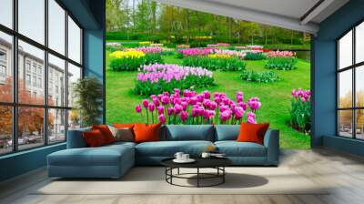 Rows of tulip flowers Wall mural