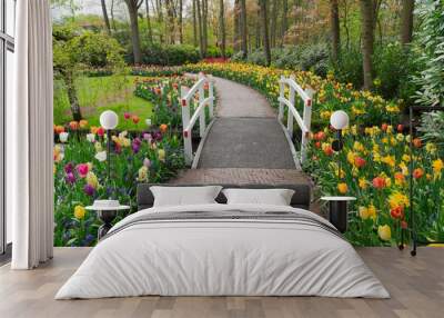 Stone walk way winding in spring formal flower garden Keukenhof, Holland Wall mural