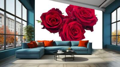 three  dark  red roses Wall mural