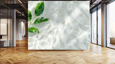 Transparent and clean white water and one green leaf background sunlight reflection, top view beauty backdrop, mock up, Wall mural