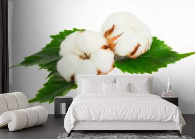 Two cotton plant buds Wall mural