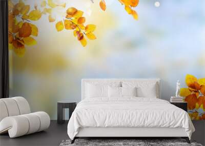 Vibrant fall foliage Wall mural