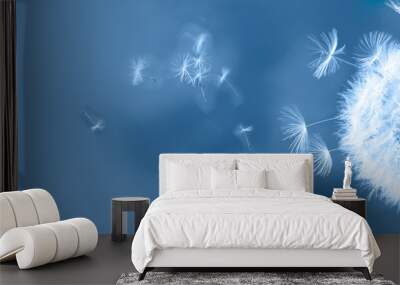 White dandelion on blue Wall mural