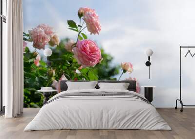 Wide web banner with roses Wall mural