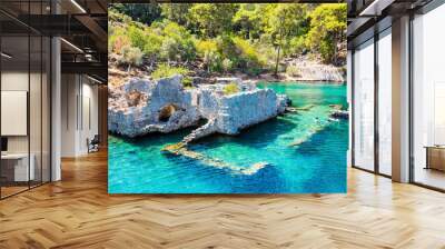 Gocek Bay coastline view in Turkey Wall mural