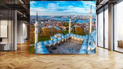 Suleymaniye Mosque dome and Istanbul at background panoramic view in Istanbul Wall mural