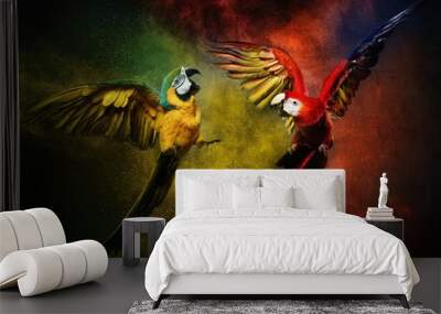 Two parrots fighting against colourful powder explosion Wall mural