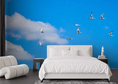 A flock of sea gulls flying in the blue sky against the background of cumulus clouds. Lovely wild birds on a sunny summer day. Wall mural