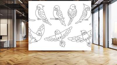 Parrot tropical doodle linear set. Summer wild exotic sitting and flying bird collection. Wildlife jungle Hawaiian cute parrots, funny pretty parakeet characters hand drawn vector illustration Wall mural