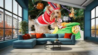 Cute Yorkshire Terrier in front of Christmas tree Wall mural