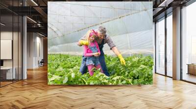 Dad and little daughter work in a greenhouse Wall mural