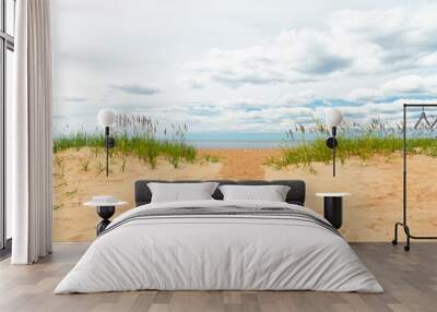 Trail between two sand dunes covered with reeds on the seashore beach Wall mural